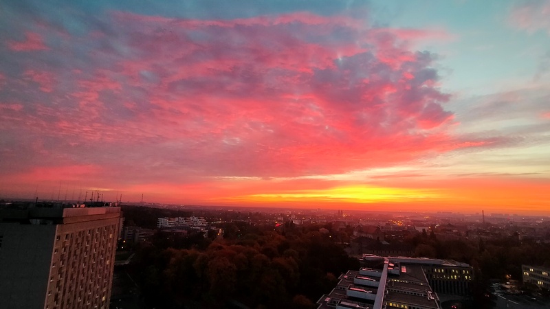 Niebo było różowe