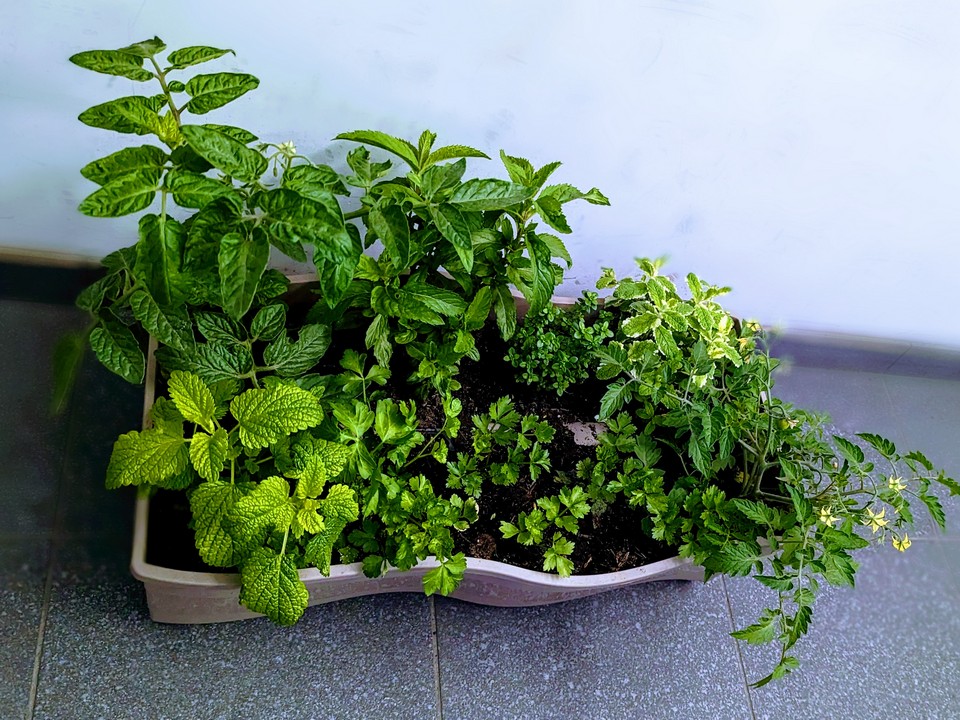 Porozmawiajmy o zapachach