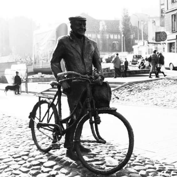 Black & white i monochromatyzm we florystyce czyli jak ja to widzę