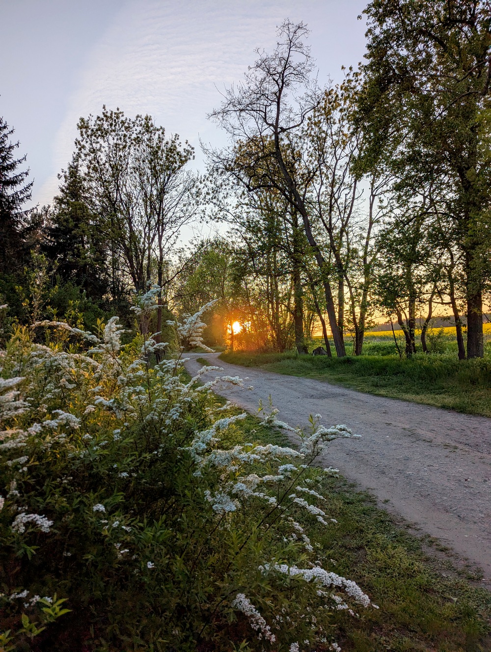 Déjà vu po deszczu. Majówkowo